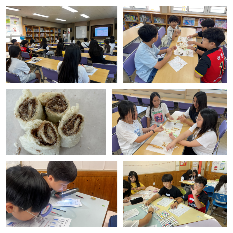4d16e10d3cdf1393644cdfa365b3c11e_1789353949_4712.png